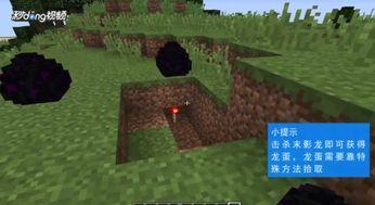 我的世界孵龙蛋视频,探索我的世界孵龙蛋的奇妙之旅