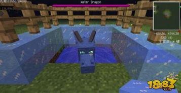 我的世界孵龙蛋视频,探索我的世界孵龙蛋的奇妙之旅