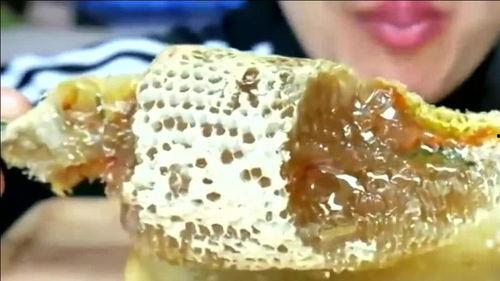 吃蜂巢蜜视频,跟随视频探索天然蜜源的秘密