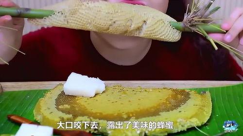 吃蜂巢蜜视频,跟随视频探索天然蜜源的秘密