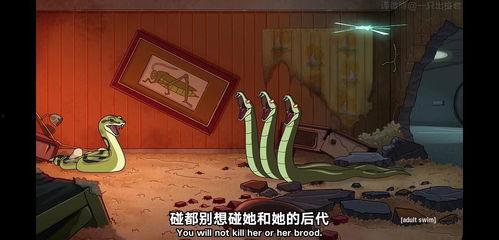 人与蛇的故事视频,人与蛇的传奇故事揭秘