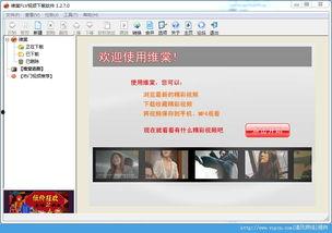 维棠flv视频下载软件官方下载,官方下载，轻松实现视频收藏与分享