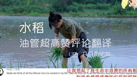 国汉视频,探索中华文化的魅力与传承