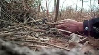 拌脚套套野鸡视频,拌脚套套野鸡视频背后的真相