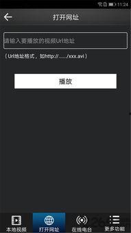 破解版视频播放器下载