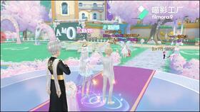 结婚视频大全2019,浪漫瞬间，幸福瞬间