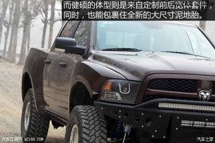 公羊越野视频,公羊越野视频中的惊险与激情