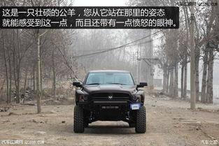 公羊越野视频,公羊越野视频中的惊险与激情