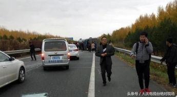 大型汽车视频,大型汽车视频深度解析