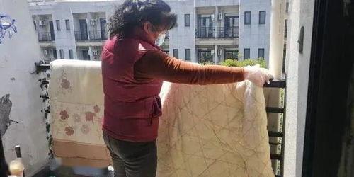 单阿姨视频,揭秘日常生活智慧与温馨瞬间