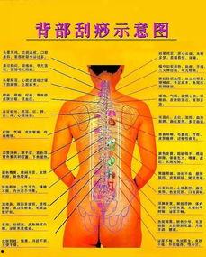 刮痧的视频,健康生活新体验
