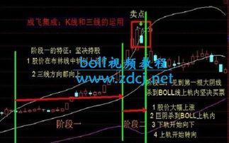 boll视频,揭秘精彩瞬间,重温激情时刻