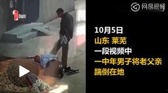 不孝子视频,亲情冷漠，道德沦丧的警示录