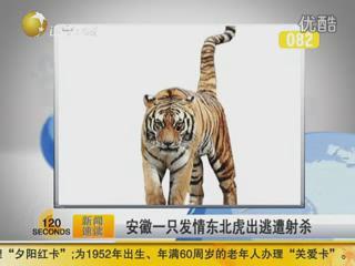 发春了视频,发春了视频带你领略春日风情