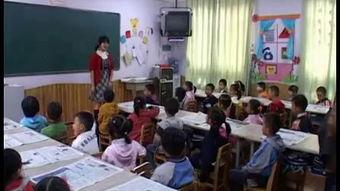 幼师说课视频,探索幼儿教育新视角