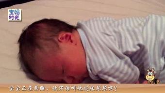 宝宝尿尿视频